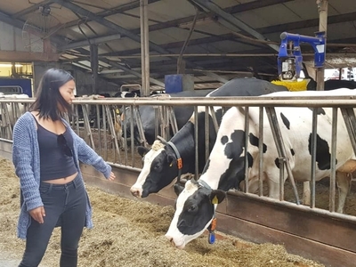 Field Trip to Dutch Cow FormImage