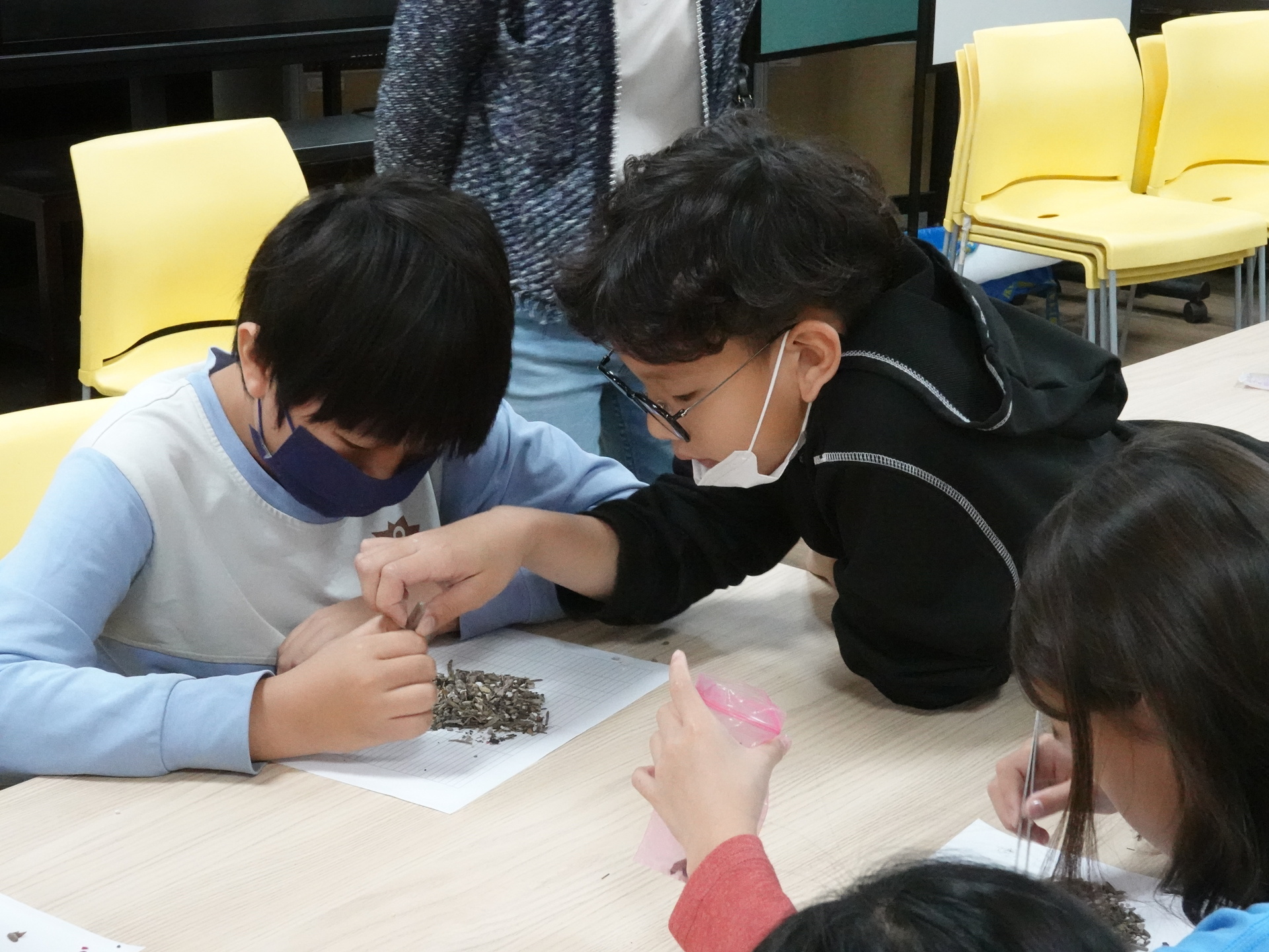 獅甲國小學生練習微粒塑料分類