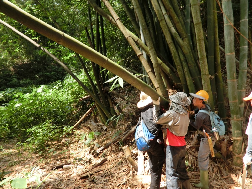 挑戰農村CEO 青年返鄉體驗營圖片