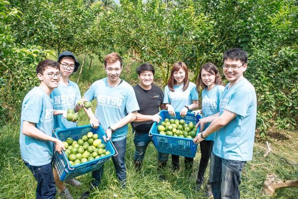 「檸」靜的夏天 公事所率青年打造活力農村圖片