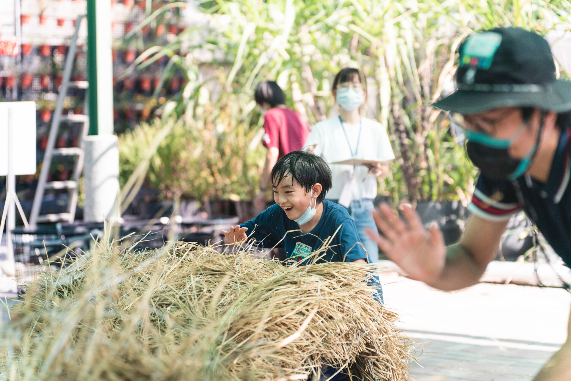 雷科公司的員工、親子一起翻滾稻草，參與社區農村奧運會圖片