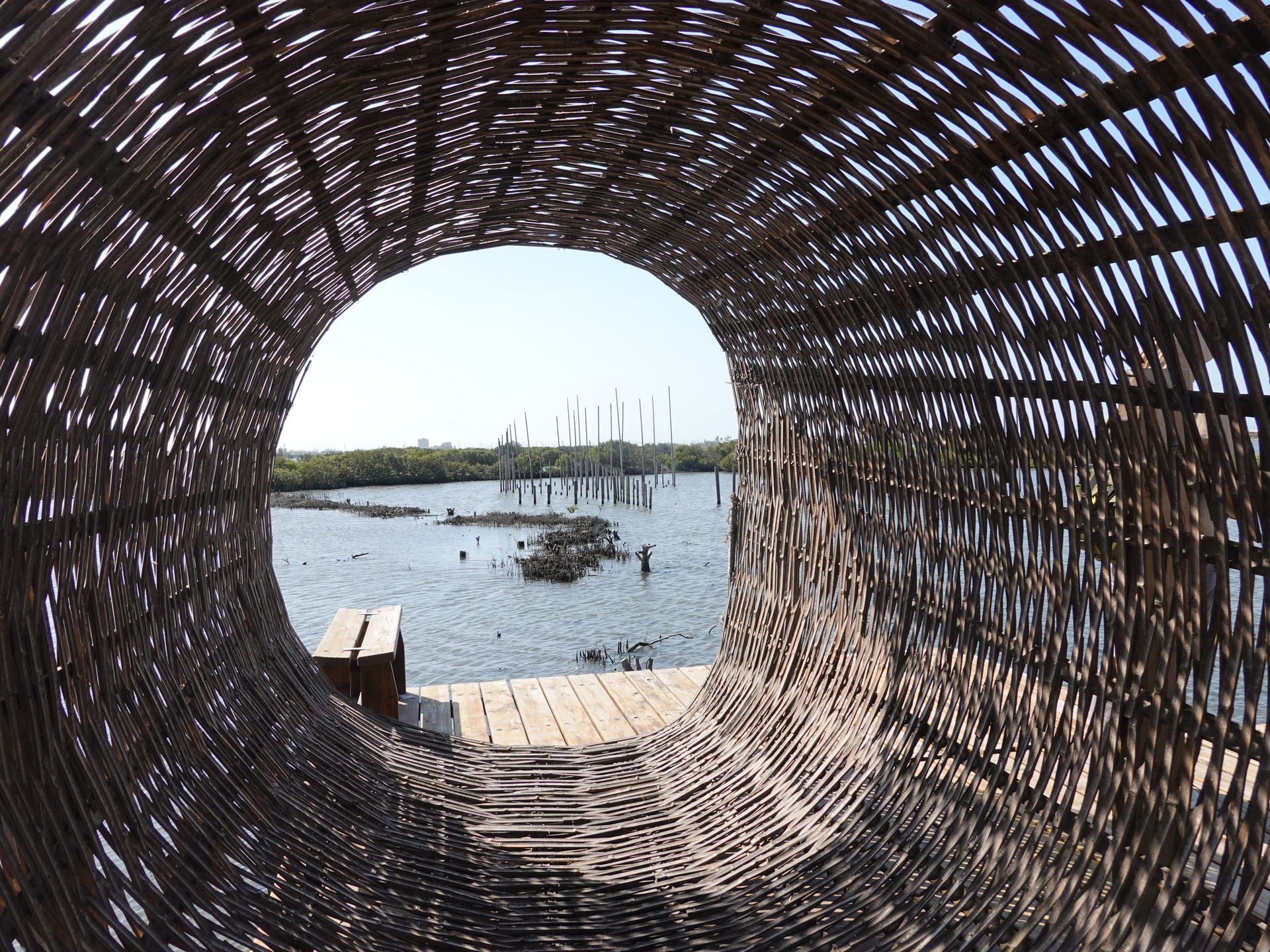 A view of the "Regeneration" art installation as seen from the perspective of "Connection"