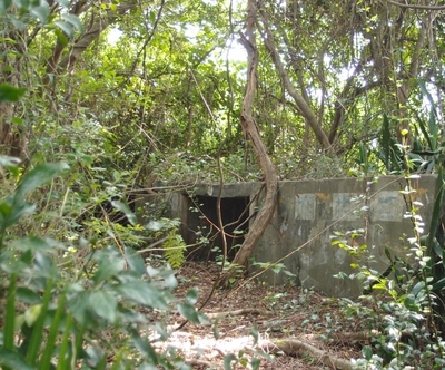 在哨船頭社區的深度調查中，更發現了日據時代軍事碉堡