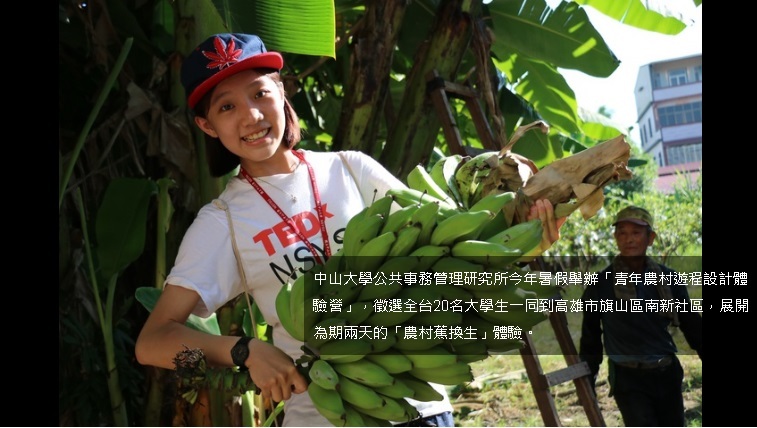 採過香蕉嗎？中山大學邀青年當「蕉」換生（聯合影音）圖片