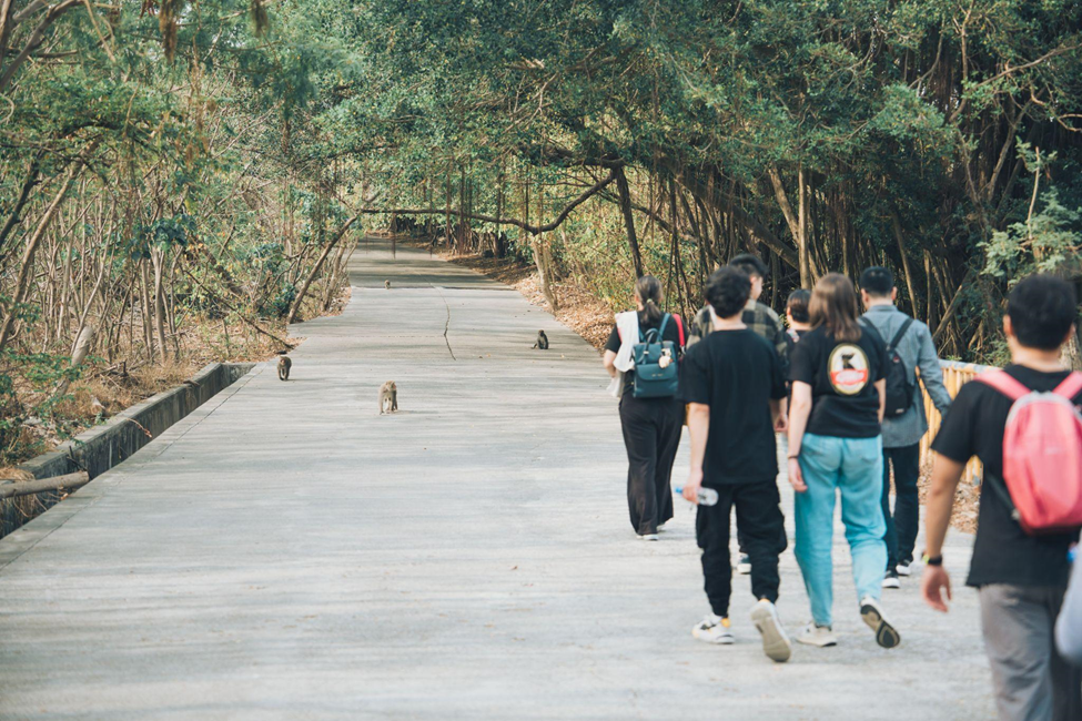[IBMBA, GHRM-MBA, IBBA] NSYSU MONKEY TOUR: Exploring and Learning Together with NSYSU’s Management Department StudentsImage
