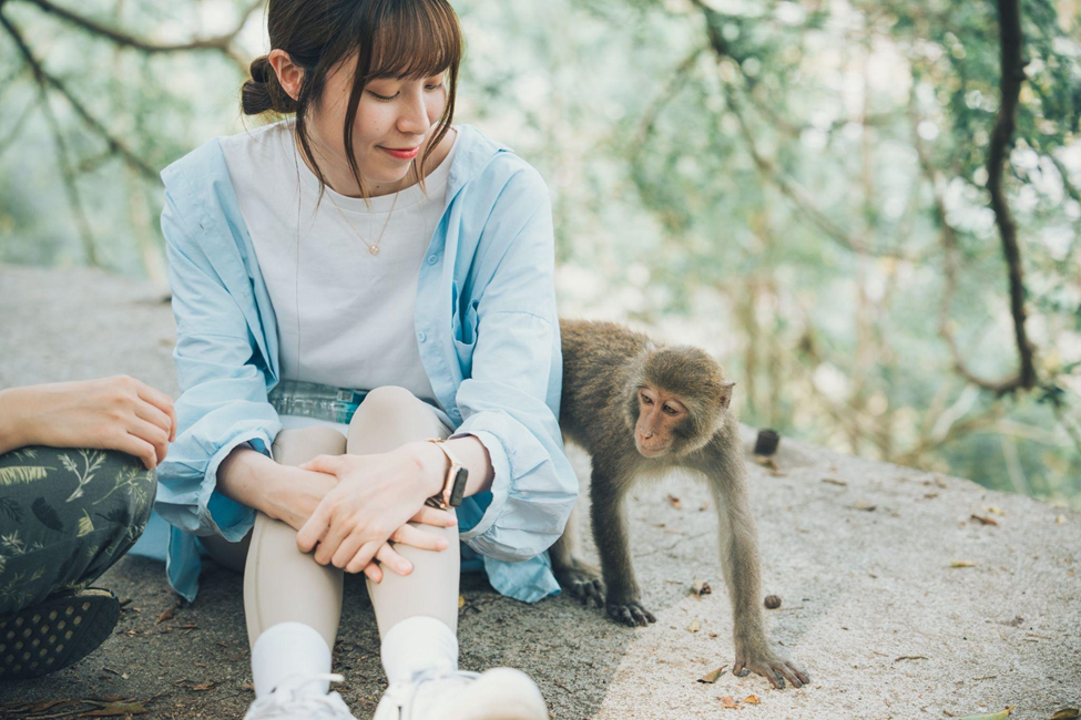 [IBMBA, GHRM-MBA, IBBA] NSYSU MONKEY TOUR: Exploring and Learning Together with NSYSU’s Management Department StudentsImage