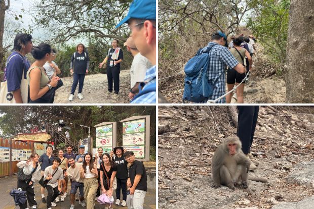 [IBMBA & GHRM] Guided Monkey Ecology Tour: A Rainy Rendezvous with Formosan Macaques on ShousanImage