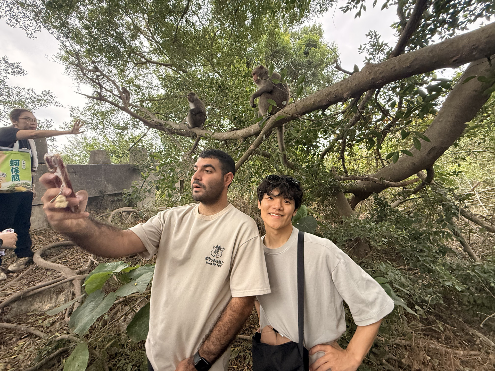 [IBMBA & GHRM] Guided Monkey Ecology Tour: A Rainy Rendezvous with Formosan Macaques on ShousanImage