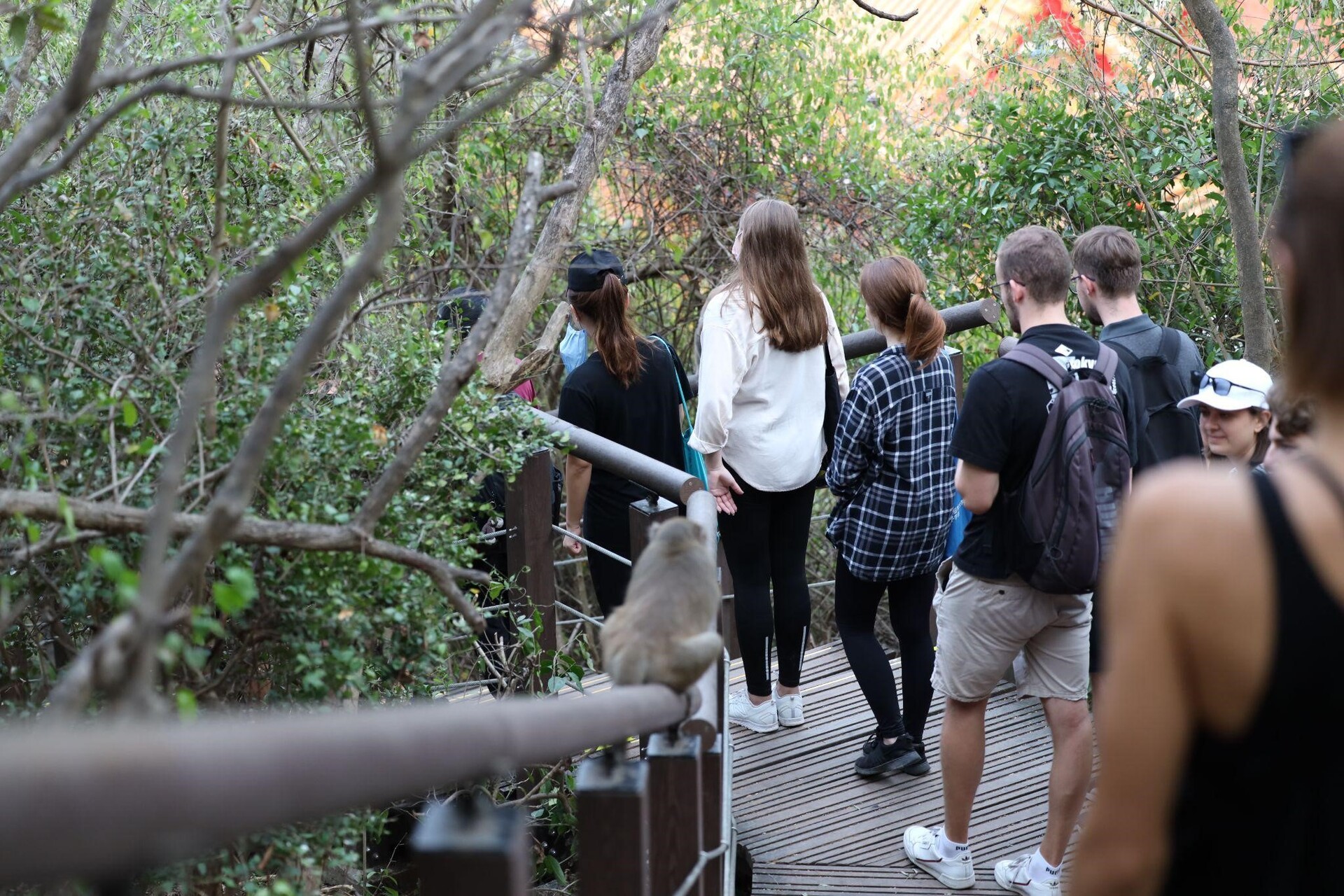 【Student Association of International Programs】《111-1》Monkey Tour: An Adventure at the Shoushan MountainImage