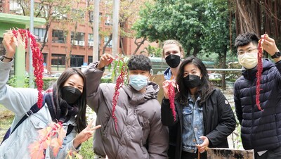 【管院CSR】〔國際學程-IBMBA〕《Student Association》Land Ethics: Red Quinoa Harvest圖片