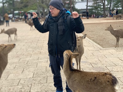 張老師到日本奈良旅遊圖片