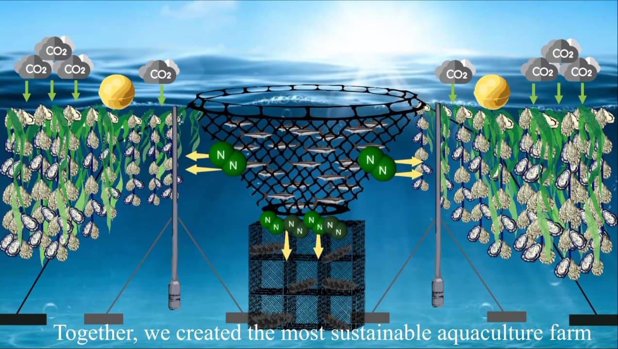 海科系蔡佳蓉同學用工程軟體繪製模擬－海上箱網養殖