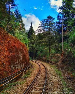 Alishan 2022-Jan-21 / Photo credit by Akshit MehtaImage