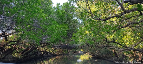Sicao Ecological Park 2022-Feb-27 / Photo credit by Akshit MehtaImage